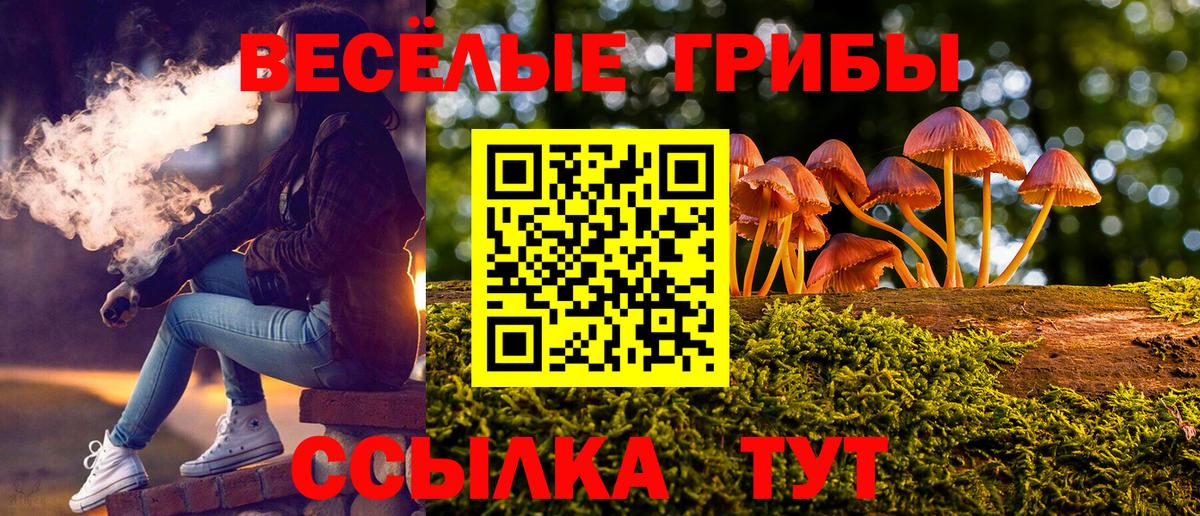 Псилоцибиновые грибы ЛСД  Псилоцибиновые грибы Psilocybe  Вход с VPN  Качканар 