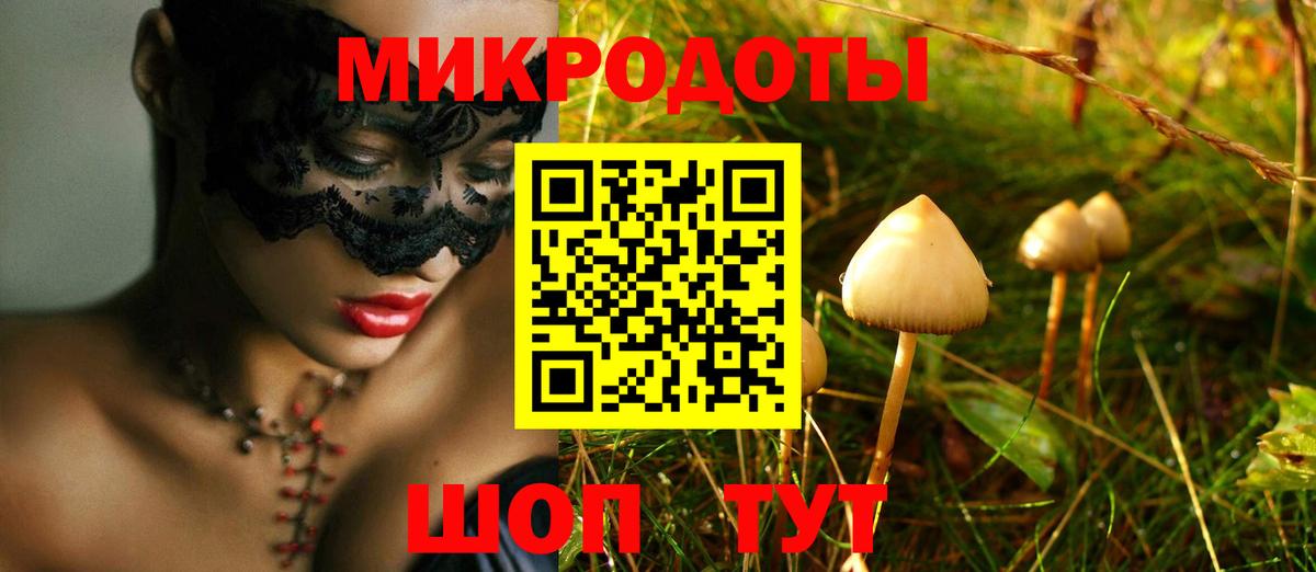 Галлюциногенные грибы Cubensis Качканар